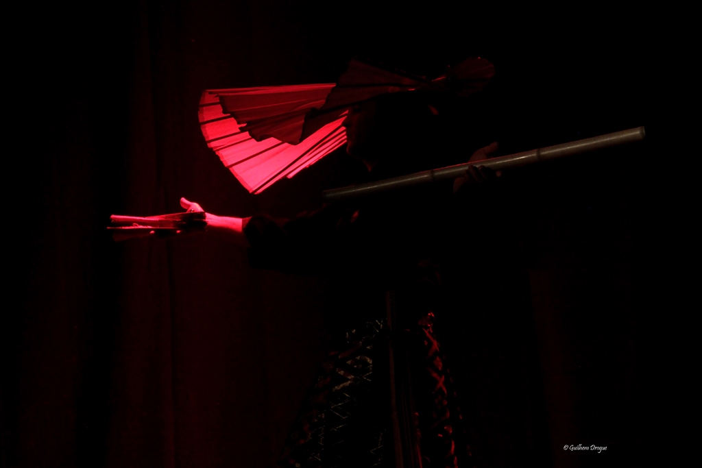 soirée Mimages fait son cirque à Saint-Sylvestre en Ardèche, festival du geste et du Mime, 2018, compagnie Shintai Jonglo