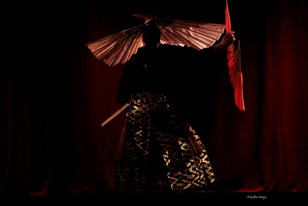 soirée Mimages fait son cirque à Saint-Sylvestre en Ardèche, festival du geste et du Mime, 2018, compagnie Shintai Jonglo