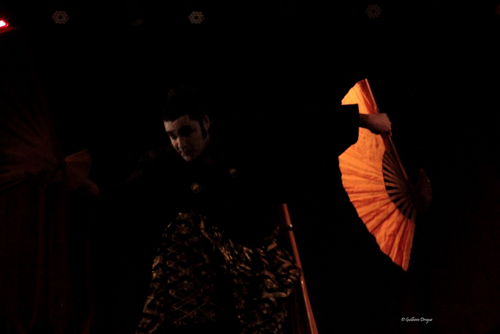 soirée Mimages fait son cirque à Saint-Sylvestre en Ardèche, festival du geste et du Mime, 2018, compagnie Shintai Jonglo