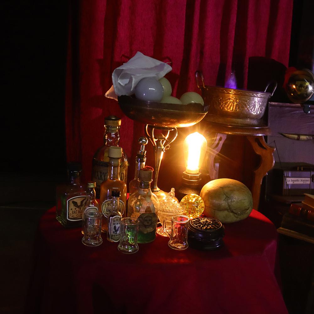 Spectacle de la compagnie Zinzoline, "la guilde des enchanteurs"